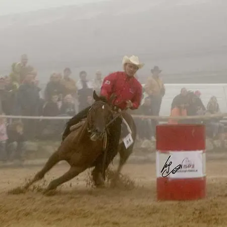 مزرعة للإقامة Espi-stables Esterhammer