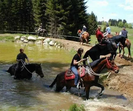 팜스테이 Espi-stables Esterhammer Liebenau (Upper Austria)