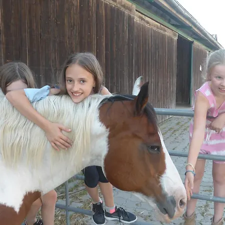 팜스테이 Espi-stables Esterhammer Liebenau (Upper Austria)