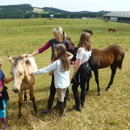 Espi-stables Esterhammer * Liebenau (Upper Austria)