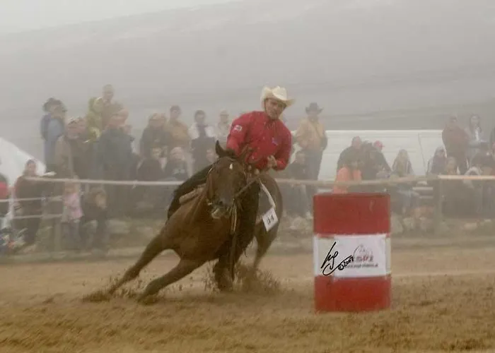 مزرعة للإقامة Espi-stables Esterhammer