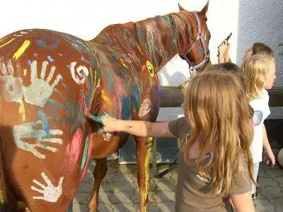 Espi-stables Esterhammer