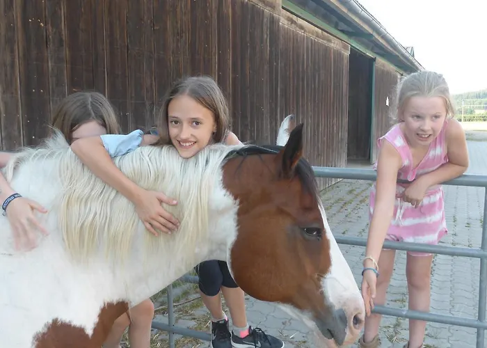 Lantgård Espi-stables Esterhammer Liebenau (Upper Austria)