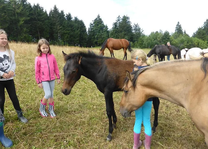 Lantgård Espi-stables Esterhammer