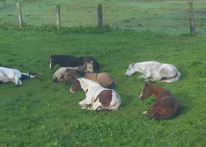 مزرعة للإقامة Espi-stables Esterhammer