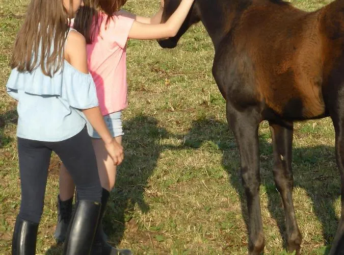 Espi-stables Esterhammer