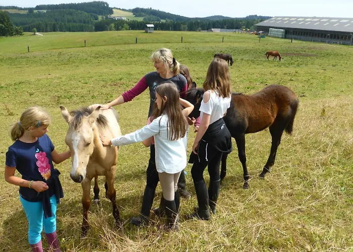 Espi-stables Esterhammer * Liebenau (Upper Austria)