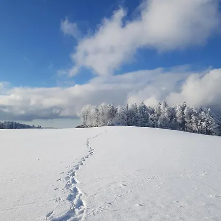 Espi-stables Esterhammer ליבנאו