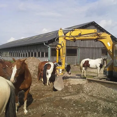 בית חווה Espi-stables Esterhammer ליבנאו