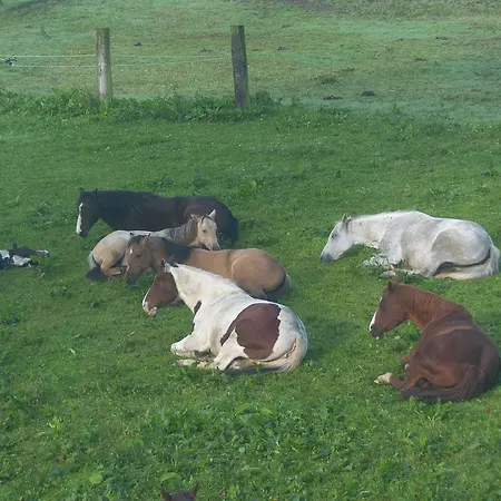 בית חווה Espi-stables Esterhammer