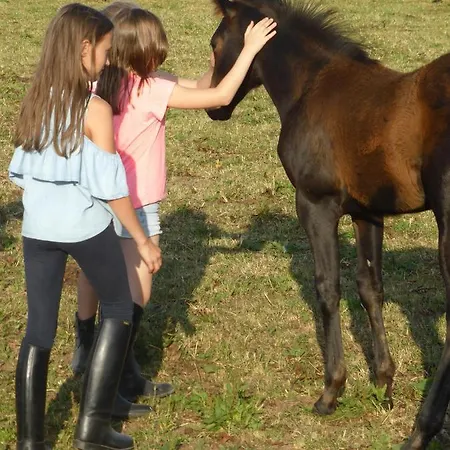 Espi-stables Esterhammer