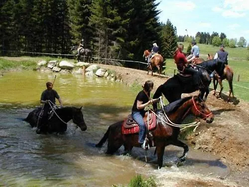 Bauernhof Espi-stables Esterhammer Liebenau (Upper Austria)