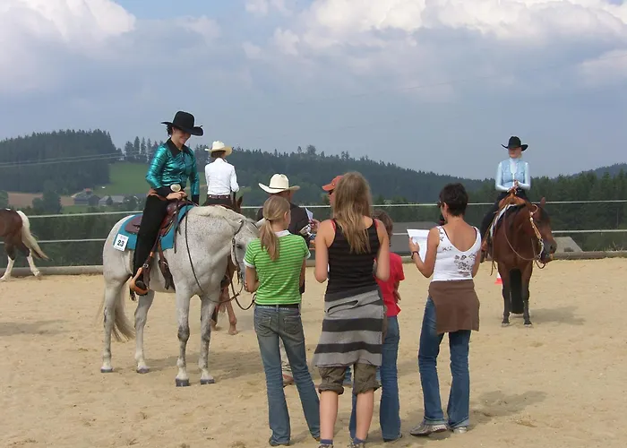 Bauernhof Espi-stables Esterhammer Liebenau (Upper Austria)