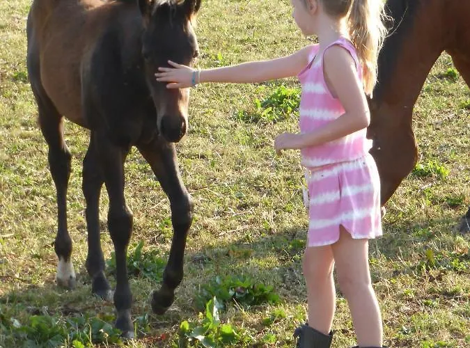 Espi-stables Esterhammer Bauernhof